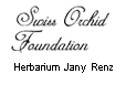 Search on Herbarium Jany Renz